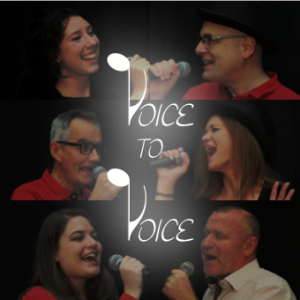 Voice to Voice Cover boild