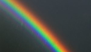 Bildschirmfoto 2023-11-16 um 01.53.17