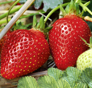 Bildschirmfoto 2025-05-12 um 23.06.52